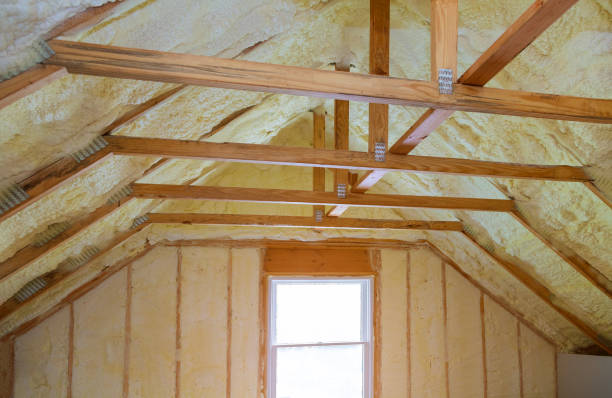 Best Residential Insulation in Unicoi, TN