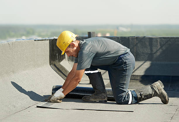 Best Commercial Insulation in Unicoi, TN