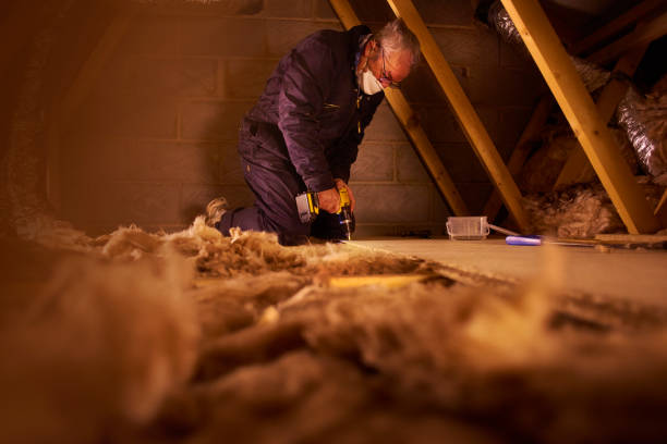 Best Insulation Installation Services in Unicoi, TN